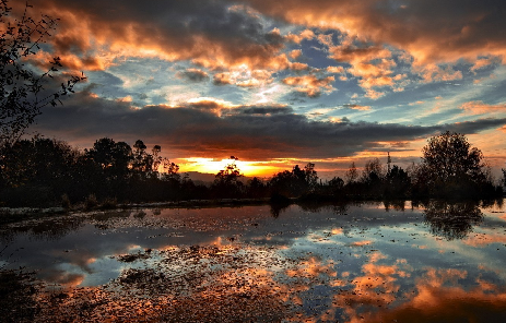 Ciemnieje / Getting Darker